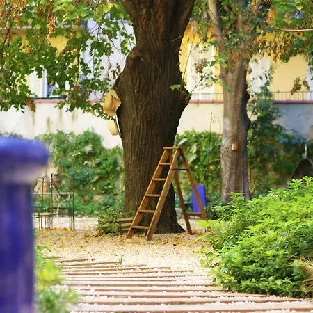 L'abeille - Boutique 4* Nicea